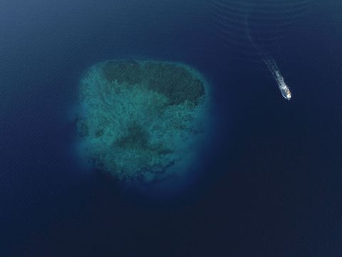 Aerial View of Lush Underwater Reef and Moving Boat