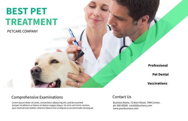 Vet Treating Dog Promoting Pet Healthcare and Education in Ad-Ready Image - Download Free Stock Templates Pikwizard.com