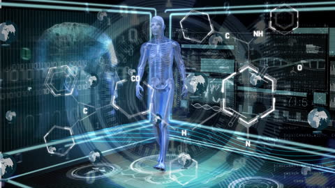 Futuristic Human Anatomy Digital Interface Hologram