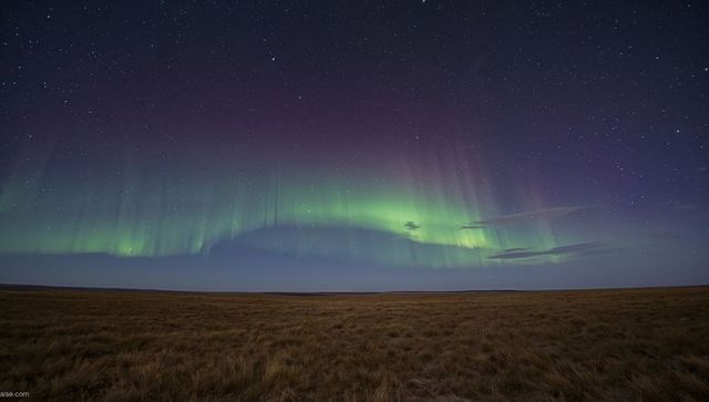Aurora Borealis Arching Over Arctic Tundra Under Starry Night Sky with Green Light Curtains