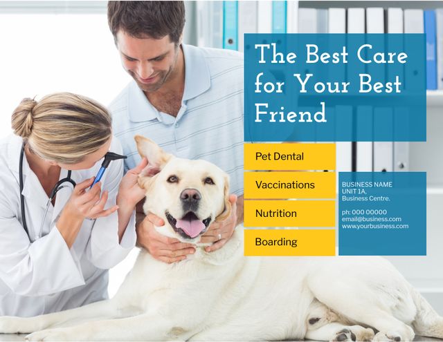 Happy Dog Receiving Examination from Veterinarian in Pet Healthcare Ad - Download Free Stock Templates Pikwizard.com