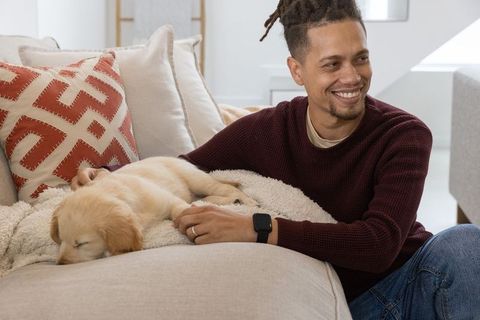 Smiling man petting sleeping golden retriever puppy on cozy sofa in sunlit living room