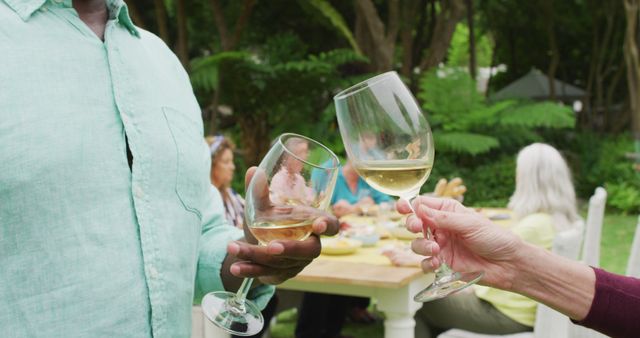 Friends Toasting Wine Glasses at Outdoor Garden Party - Download Free Stock Images Pikwizard.com