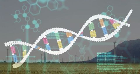 Dna double helix overlaying wind farm representing genomic innovation in renewable energy