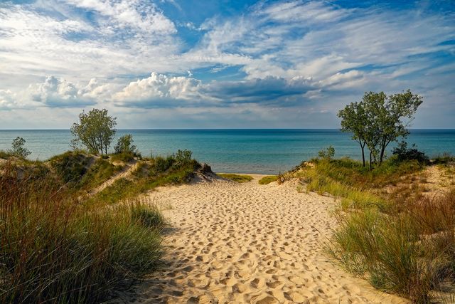 Perfect for travel brochures, websites, and advertisements, this image depicts a tranquil sandy path leading to the ocean, framed by sand dunes and scattered trees against a beautiful blue sky. Ideal for evoking feelings of relaxation and natural beauty in promotional materials or backgrounds.