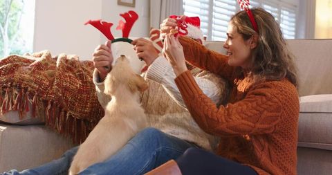 Couple Celebrating Holidays with Dog Wearing Reindeer Antlers on Cozy Sofa