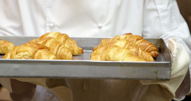 Chef holding a baking tray with warm, crispy croissants. Ideal for concepts related to baking, patisseries, bakery promotions, or culinary classes. Perfect for illustrating freshly baked goods, professional baking, and kitchen scenes.