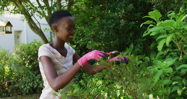 African american woman pruning plants in sunny garden smiling to camera - Download Free Stock Photos Pikwizard.com