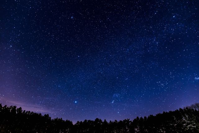 Scenic Night Sky with Bright Stars and Tree Silhouettes - Download Free Stock Photos Pikwizard.com