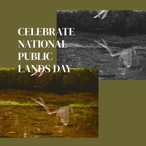 national public lands day celebration in scenic forest reflection - Download Free Stock Templates Pikwizard.com