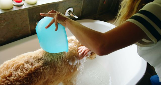 Person Bathing Golden Retriever in Bathtub Using Blue Bowl - Download Free Stock Images Pikwizard.com