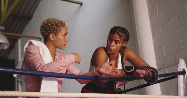 Two Female Boxers Discussing Strategy in a Gym - Download Free Stock Images Pikwizard.com