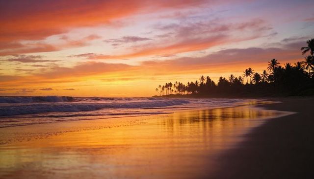 Tropical sunset reflecting on wet sand with palm silhouettes and gentle rolling waves