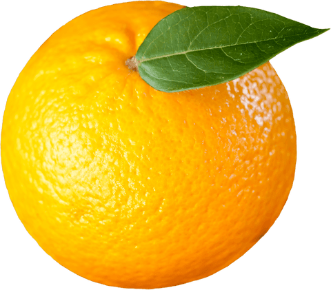 vibrant orange with green leaf transparent background - Download Free Stock Videos Pikwizard.com