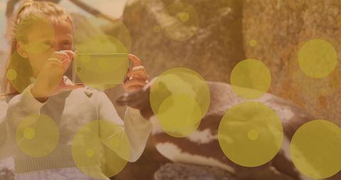 Woman photographing penguin at wildlife park for adventure and conservation