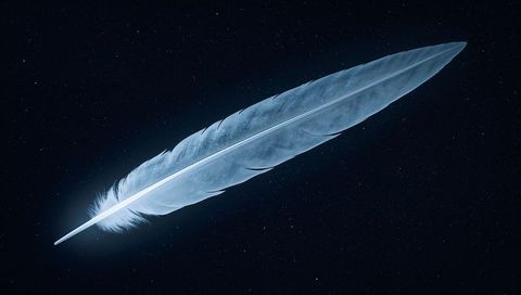 Glowing pale feather floating diagonally across deep starry night background, minimal