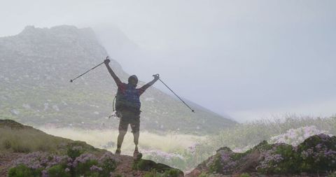 Joyful wilderness exploration with hiking and walking poles
