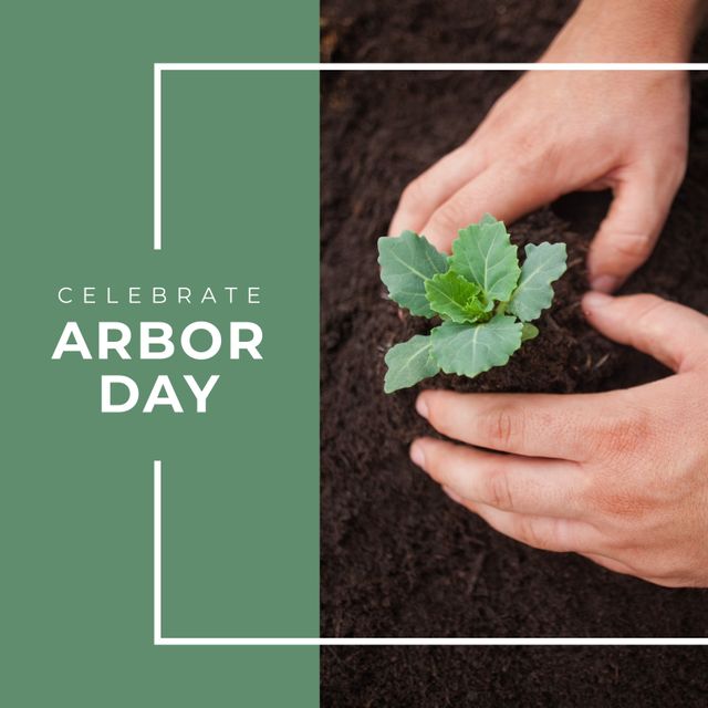 Hands Planting Seedling in Soil for Arbor Day Celebration - Download Free Stock Templates Pikwizard.com