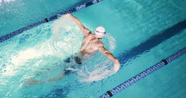 Male Swimmer Performing Backstroke in Olympic Pool - Download Free Stock Images Pikwizard.com