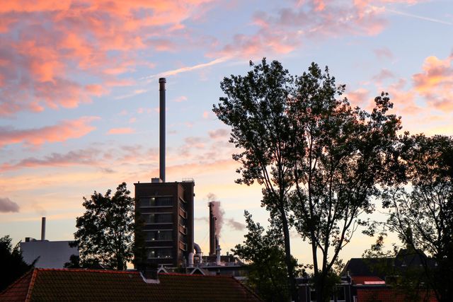 Factory with tall smokestacks emitting smoke during sunset with colorful sky and silhouetted trees in foreground. Suitable for illustrating industrial pollution, urban environment, environmental issues, energy production, or cityscapes in varying light conditions.