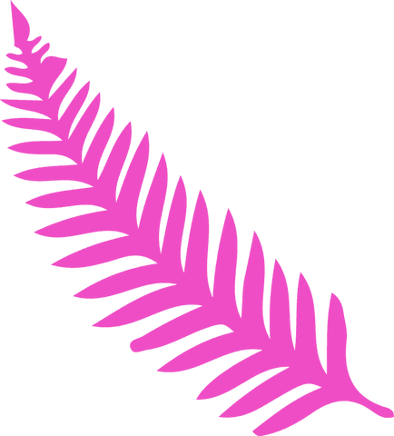 Pink Fern Frond Illustration on Transparent Background
