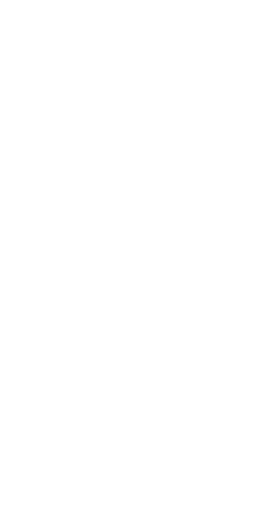 Transparent Botanical Illustration of Wheat Ear on White Background - Download Free Stock Videos Pikwizard.com
