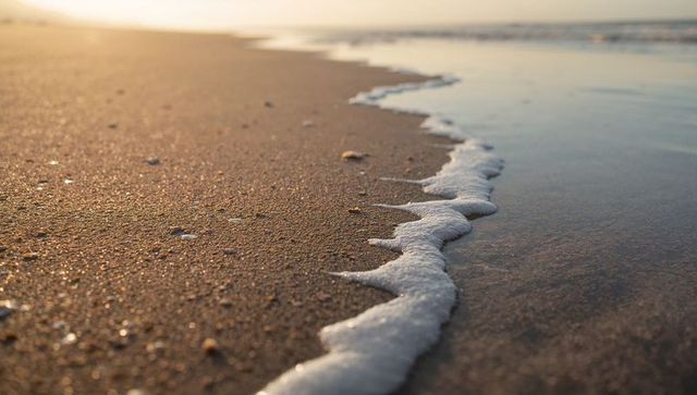 Foamy tide lapping along wet sandy shoreline at sunrise closeup with shells and pebbles