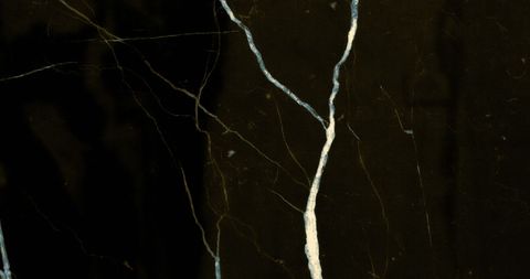 Intricate White Veins on Sleek Black Marble - Download Free Stock Images Pikwizard.com