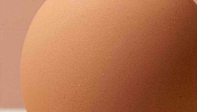 Close-up brown egg showing speckled textured shell minimalist warm neutral still-life