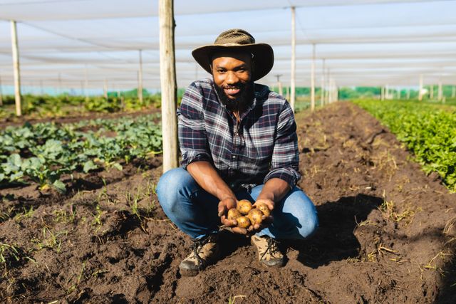Portrait of bearded african american mid adult farmer wearing hat holding potatoes in greenhouse. summer, nature, unaltered, healthy food, farmer, organic farm and farming concept.