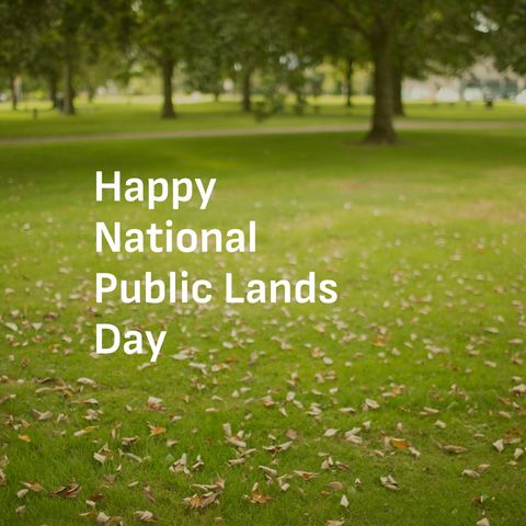 national public lands day park setting with green leaves - Download Free Stock Templates Pikwizard.com