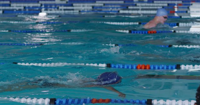 Swimmers Practicing in a Lap Pool - Download Free Stock Images Pikwizard.com