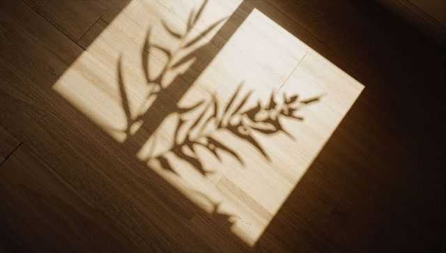 Sunlit window shadow casting leafy branch silhouette on wooden floor