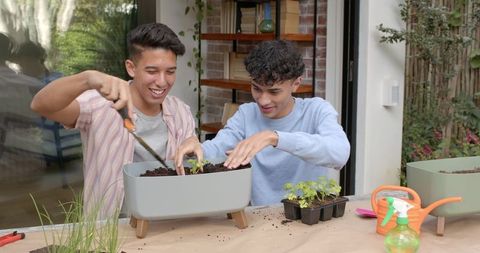 Diverse Friends Enjoying Gardening Activity on Sunny Outdoors