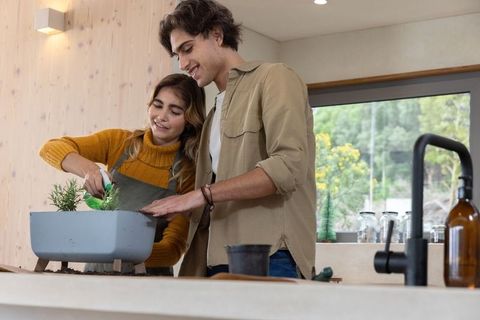 Happy Couple Enjoying Indoor Herb Gardening at Contemporary Kitchen