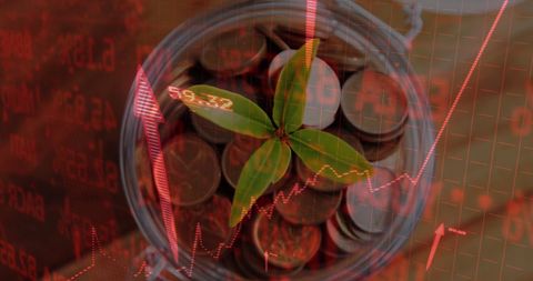 Plant growing from coins with rising financial graph overlay