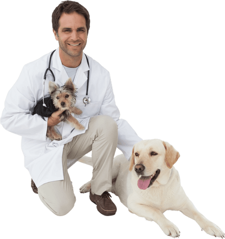 smiling vet with dog and puppy on transparent background - Download Free Stock Videos Pikwizard.com