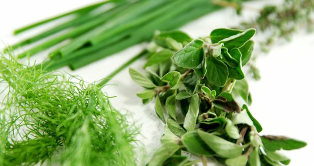 Fresh Organic Herbs and Spices on White Background - Download Free Stock Images Pikwizard.com