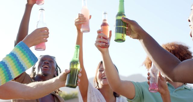 Friends Toasting with Drinks Outdoors - Download Free Stock Images Pikwizard.com