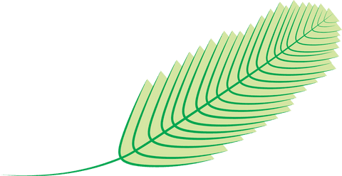 Green leaf vector illustration on transparent background