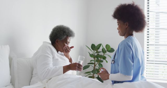 Senior Woman Receiving Medical Care from Nurse at Home - Download Free Stock Images Pikwizard.com
