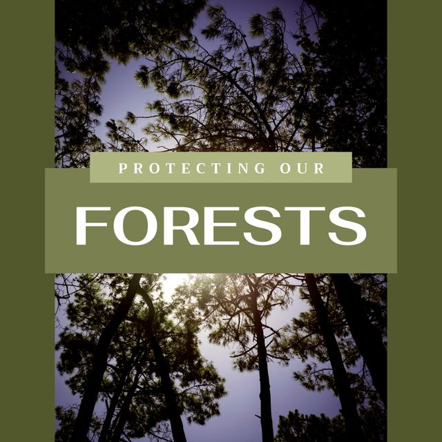 Protecting Forests Awareness Poster with Tree Canopy View - Download Free Stock Templates Pikwizard.com