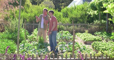 Man teaching teenager gardening hands-on in sunlit backyard vegetable raised beds