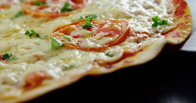 This close-up shows a freshly baked margherita pizza garnished with fresh basil leaves and tomato slices. Ideal for use in food blogs, restaurant menus, and culinary websites focusing on Italian cuisine or comfort foods.
