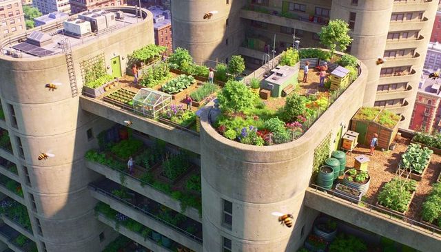 Rooftop community garden cultivating vegetables and pollinator plants on urban tower terraces