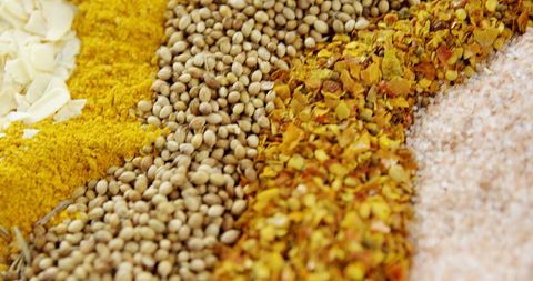 Colorful Assortment of Spices and Legumes Arranged in Rows - Download Free Stock Images Pikwizard.com
