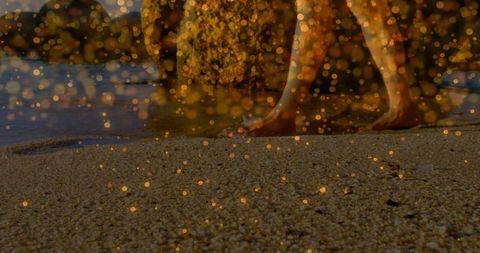 Serene Barefoot Walk with Golden Bokeh on Pebbly Beach at Sunset