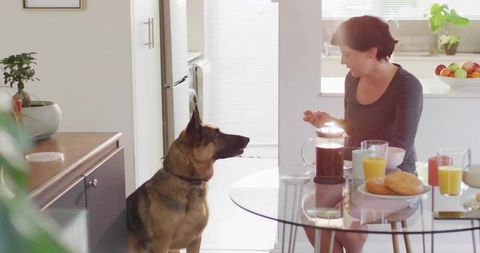 Woman Sharing Breakfast with Her German Shepherd Companion