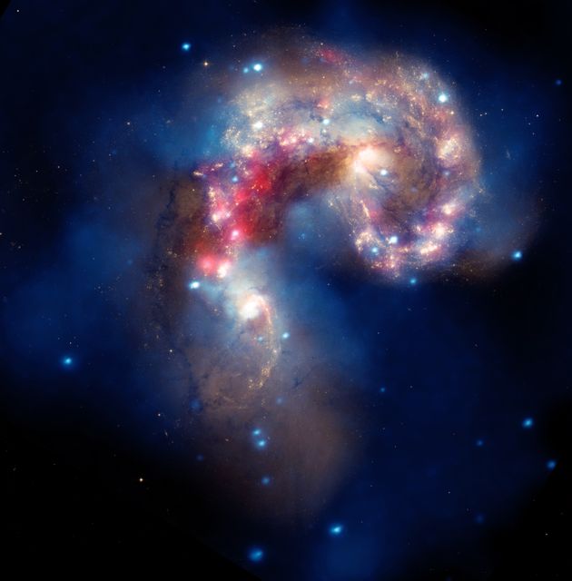 NASA image release August 5, 2010  A beautiful new image of two colliding galaxies has been released by NASA's Great Observatories. The Antennae galaxies, located about 62 million light-years from Earth, are shown in this composite image from the Chandra X-ray Observatory (blue), the Hubble Space Telescope (gold and brown), and the Spitzer Space Telescope (red). The Antennae galaxies take their name from the long antenna-like &quot;arms,&quot; seen in wide-angle views of the system. These features were produced by tidal forces generated in the collision.  The collision, which began more than 100 million years ago and is still occurring, has triggered the formation of millions of stars in clouds of dusts and gas in the galaxies. The most massive of these young stars have already sped through their evolution in a few million years and exploded as supernovas.  The X-ray image from Chandra shows huge clouds of hot, interstellar gas that have been injected with rich deposits of elements from supernova explosions. This enriched gas, which includes elements such as oxygen, iron, magnesium, and silicon, will be incorporated into new generations of stars and planets. The bright, point-like sources in the image are produced by material falling onto black holes and neutron stars that are remnants of the massive stars. Some of these black holes may have masses that are almost one hundred times that of the Sun.  The Spitzer data show infrared light from warm dust clouds that have been heated by newborn stars, with the brightest clouds lying in the overlapping region between the two galaxies. The Hubble data reveal old stars and star-forming regions in gold and white, while filaments of dust appear in brown. Many of the fainter objects in the optical image are clusters containing thousands of stars.  The Chandra image was taken in December 1999. The Spitzer image was taken in December 2003. The Hubble image was taken in July 2004, and February 2005.  To read more go to: <a href="http://www.nasa.gov/mission_pages/chandra/multimedia/antennae.html" rel="nofollow">www.nasa.gov/mission_pages/chandra/multimedia/antennae.html</a>  <b><a href="http://www.nasa.gov/centers/goddard/home/index.html" rel="nofollow">NASA Goddard Space Flight Center</a></b>  is home to the nation's largest organization of combined scientists, engineers and technologists that build spacecraft, instruments and new technology to study the Earth, the sun, our solar system, and the universe.  <b>Follow us on <a href="http://twitter.com/NASA_GoddardPix" rel="nofollow">Twitter</a></b>  <b>Join us on <a href="http://www.facebook.com/pages/Greenbelt-MD/NASA-Goddard/395013845897?ref=tsd" rel="nofollow">Facebook</a><b></b></b>  Credit: NASA, ESA, SAO, CXC, JPL-Caltech, and STScI  Acknowledgment: G. Fabbiano and Z. Wang (Harvard-Smithsonian CfA), and B. Whitmore (STScI)