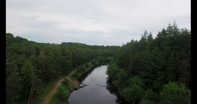 Aerial View of Calm River Surrounded by Dense Forest - Download Free Stock Images Pikwizard.com